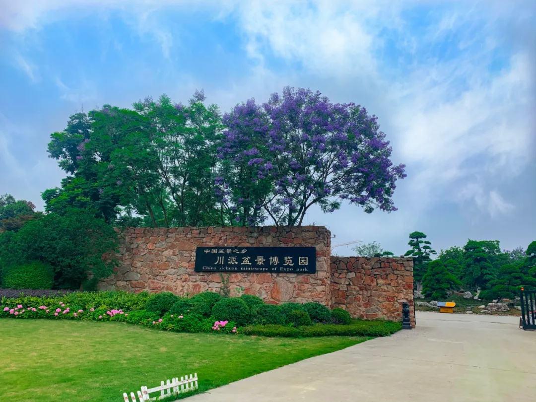 1646725883.jpg 川派盆景博覽園竣工驗(yàn)收.jpg